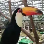 もこの画像