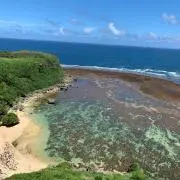 kinakoの画像