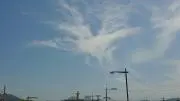 まっちゃん堂の画像
