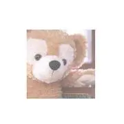 なほ
