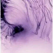 ライトイヤーズ モアライト 溶岩石トリプル ケース付き 未使用品