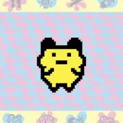 alpacaの画像