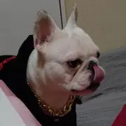あや