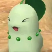 nekoの画像