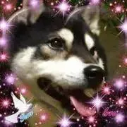 さちさち