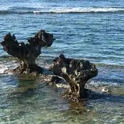 ろー