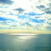 tomo♪の画像