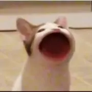 おともの画像