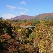 Chiba-izmの画像