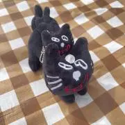 noa‪‪.