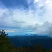 りりの画像