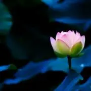 流れ星☆
