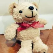 檸檬の画像