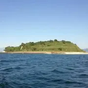 綾