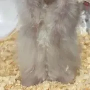 ぼぼん⚠︎プロフ必読の画像