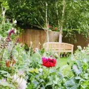 garden  gardenの画像