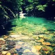 RAROの画像