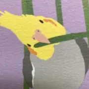 たなかの画像