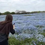 ちゃんあきの画像