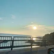 りんごの画像