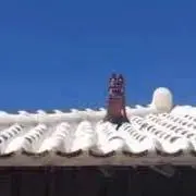 dollyの画像