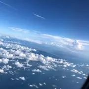 エマの画像