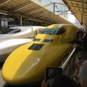 ばーどマン