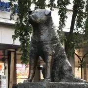 極美品 SRC ウォーカー 直接引取り可 - メルカリ