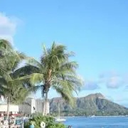 moanaの画像
