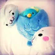 カイ♪の画像