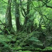 紺✳プロフ必読の画像
