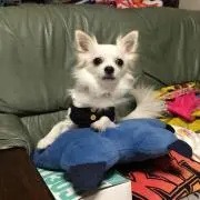 あやちゃん