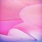 ☆PinkPegasus☆