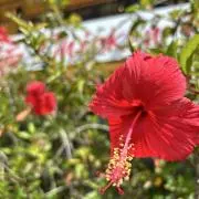 seasonの画像