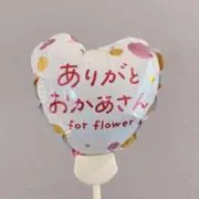 たぬきの画像