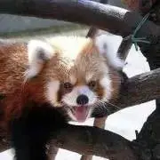 なお