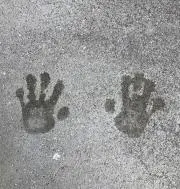 ひたむ