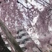 りょう