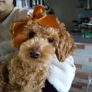 ぐら8の画像