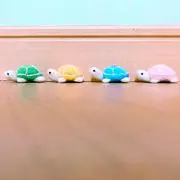 Cheliaの画像