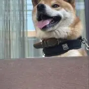 敦夫の画像