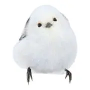 めいちゃんの画像