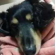 ソレイユ
