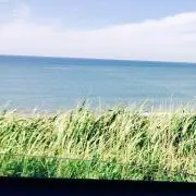 てららん