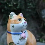 skykskeの画像