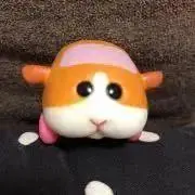 ましゅまるの画像