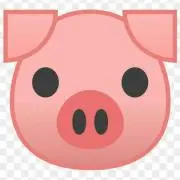 piggy