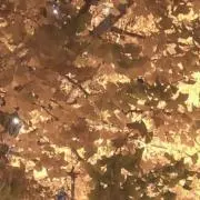 太郎
