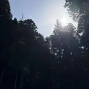 178akoの画像