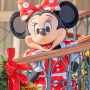 ネズミの画像
